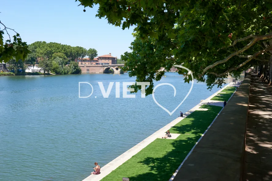 Photo TOULOUSE by VIET - les bords de garonne