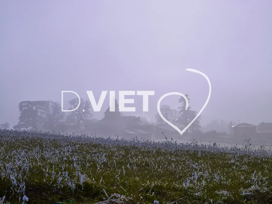 Photo TOULOUSE by VIET - VIET_008037