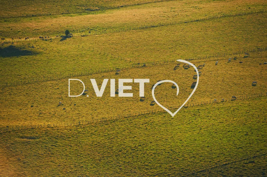 Photo TOULOUSE by VIET - VIET_005950