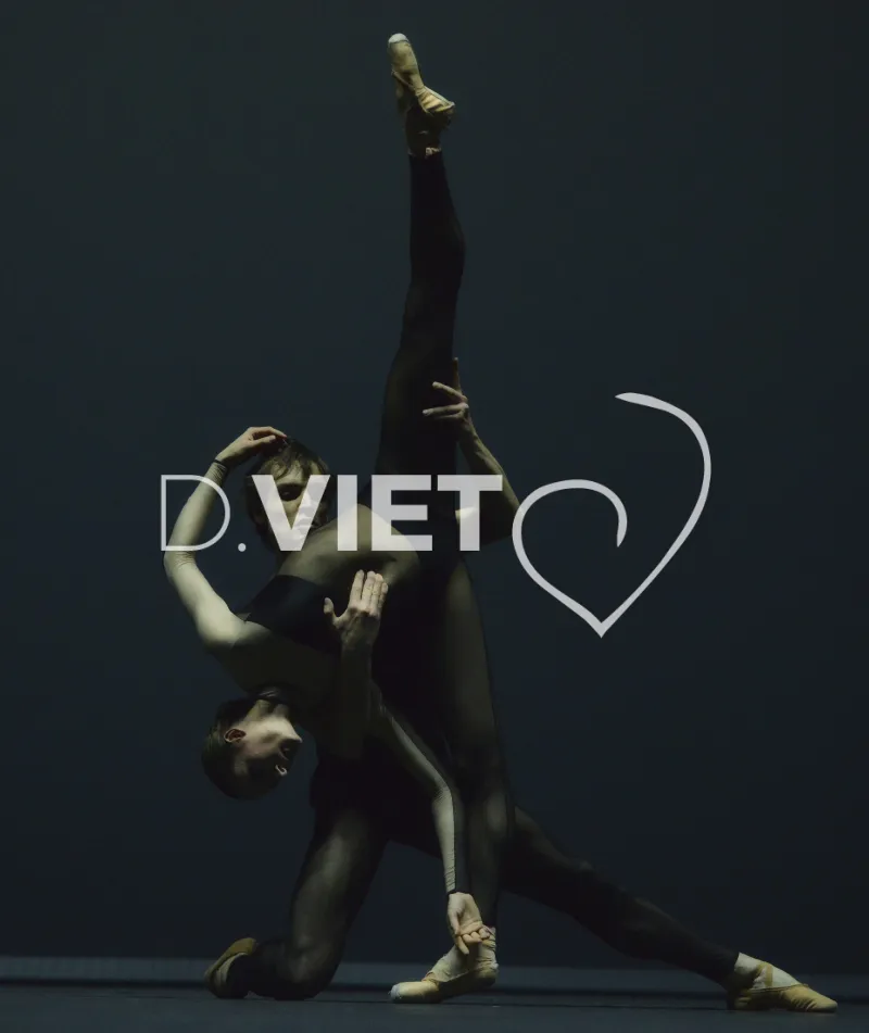 Photo TOULOUSE by VIET - Ballet du capitole
