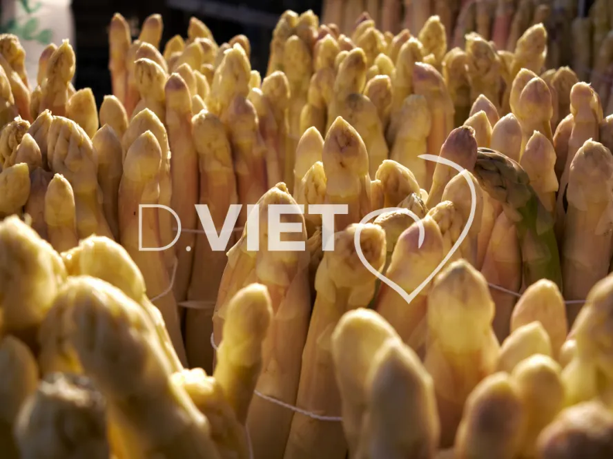 Photo TOULOUSE by VIET - Marche saint aubin