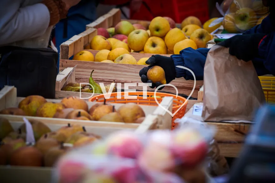 Photo TOULOUSE by VIET - MARCHE SAINT AUBIN