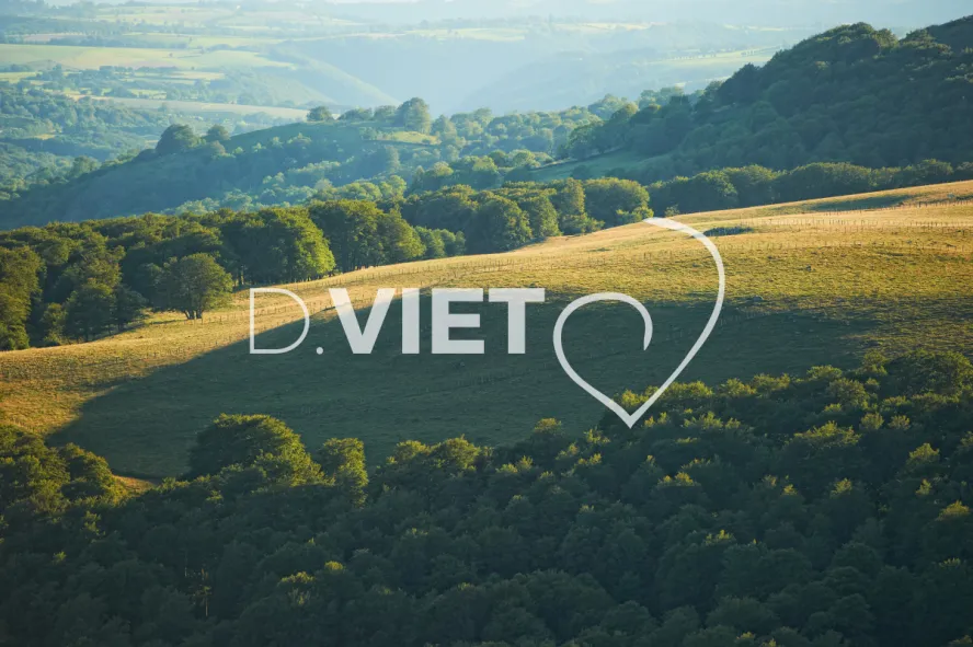 Photo TOULOUSE by VIET - VIET_005941