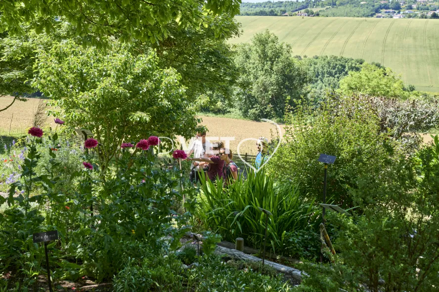 Photo TOULOUSE by VIET - SICOVAL