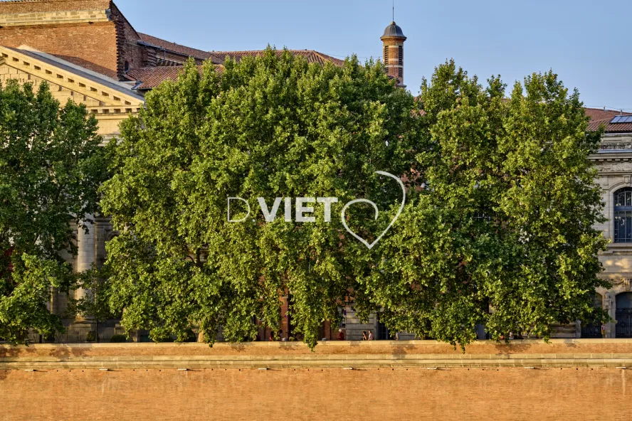 Photo TOULOUSE by VIET - La Garonne