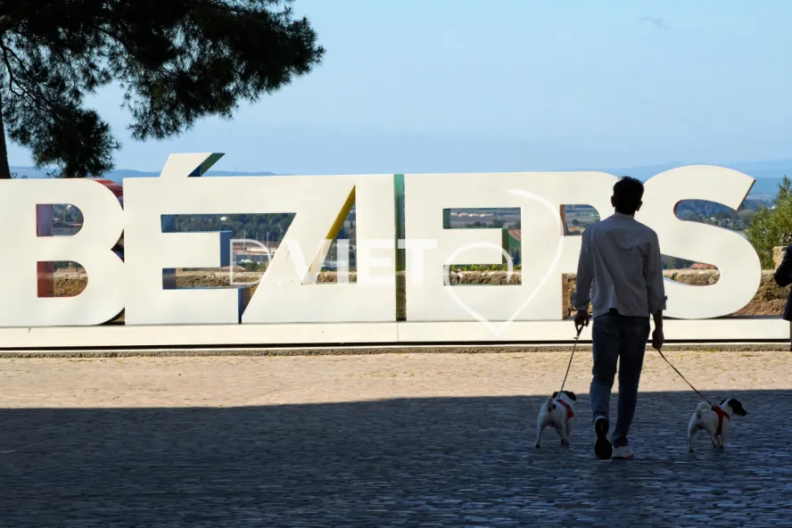 Photo TOULOUSE by VIET - Cathedrale Saint Nazaire