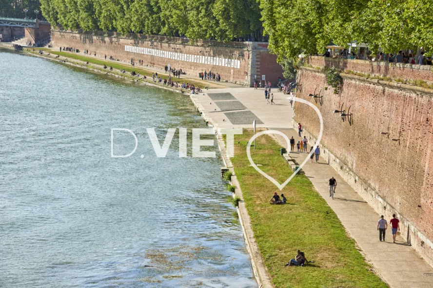 Photo TOULOUSE by VIET - Vue du Pont Neuf quais