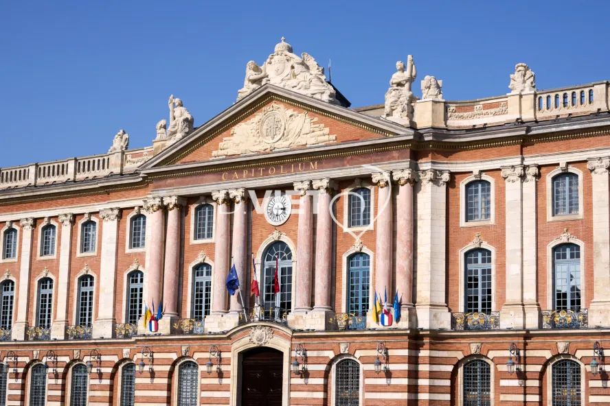 Photo TOULOUSE by VIET - VIET_012919