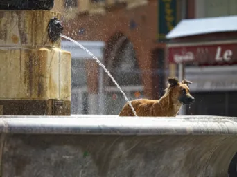 Photo TOULOUSE by VIET - La fontaine de la Trinit&eacute;
