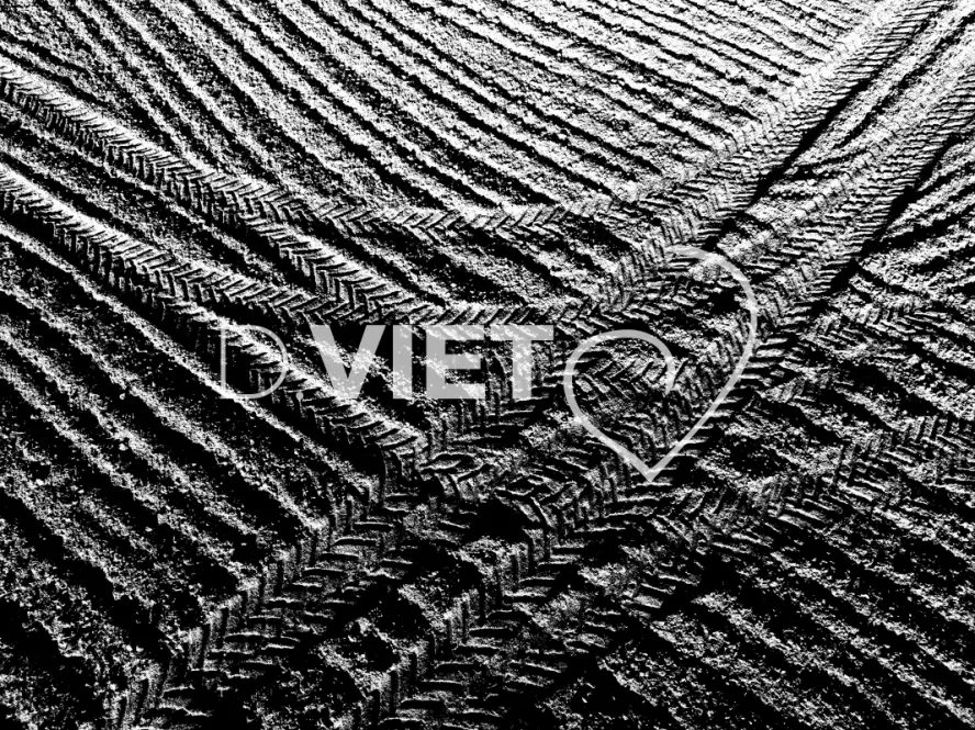 Photo TOULOUSE by VIET - TRACES