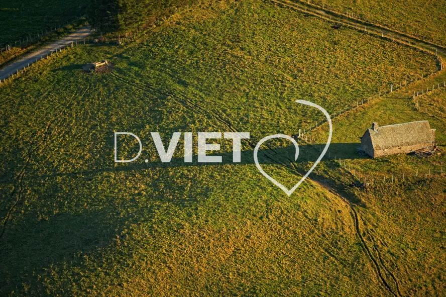 Photo TOULOUSE by VIET - VIET_005952