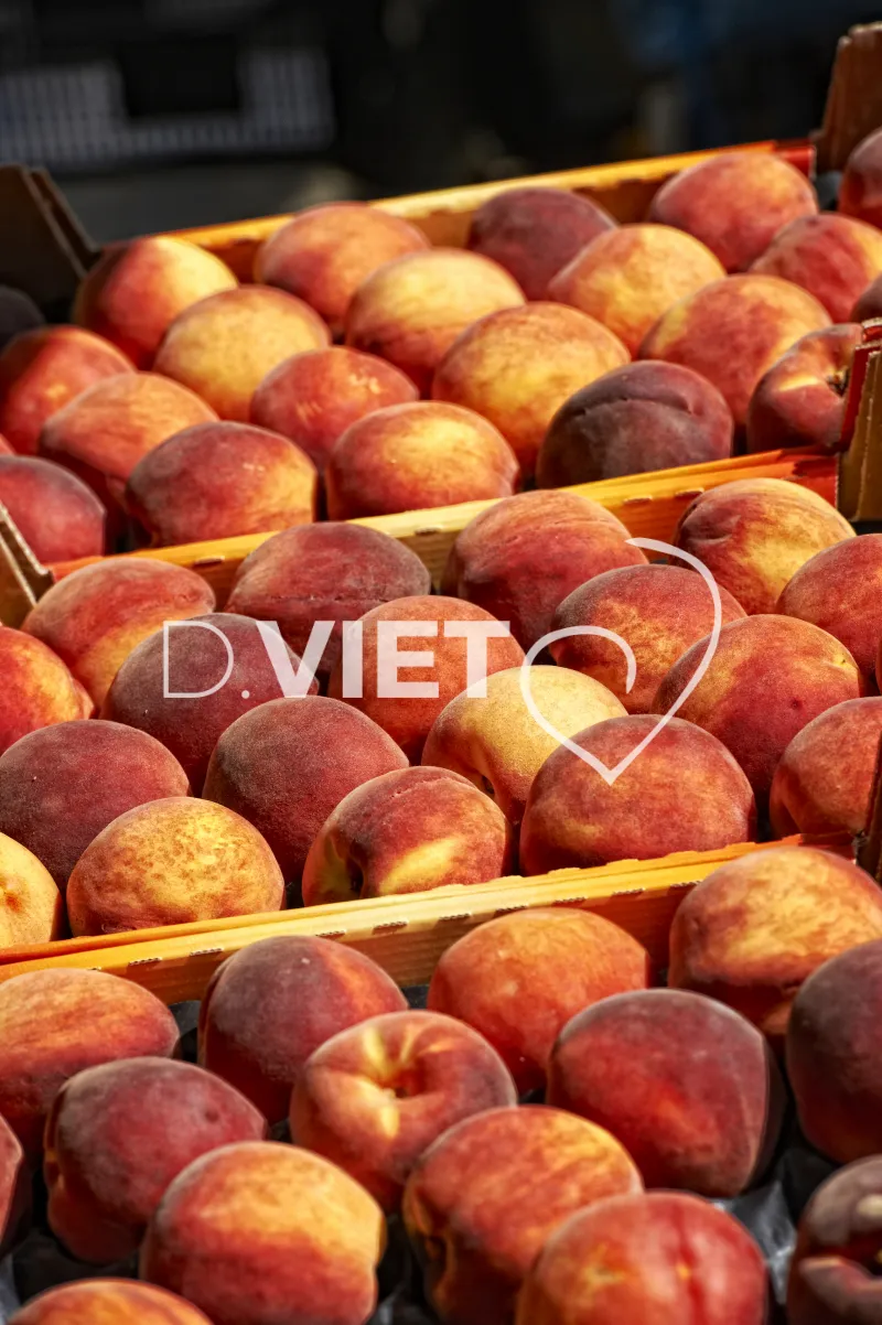 Photo TOULOUSE by VIET - MARCHE DE RODEZ