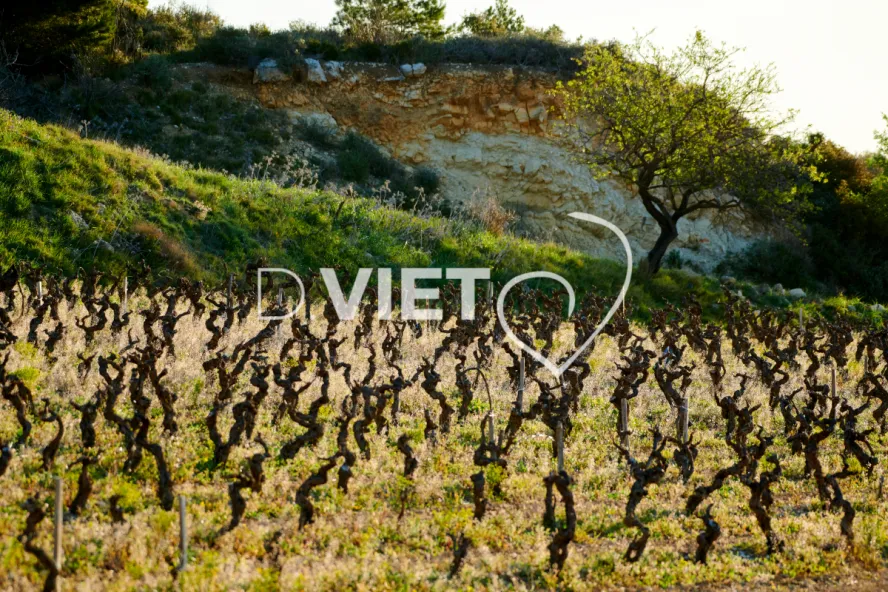 Photo TOULOUSE by VIET - Etangs de Bages et de Sigean