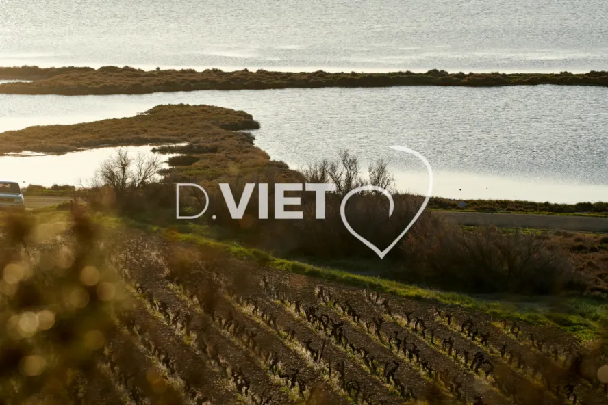 Photo TOULOUSE by VIET - Etangs de Bages et de Sigean