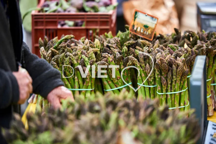 Photo TOULOUSE by VIET - VIET_008890