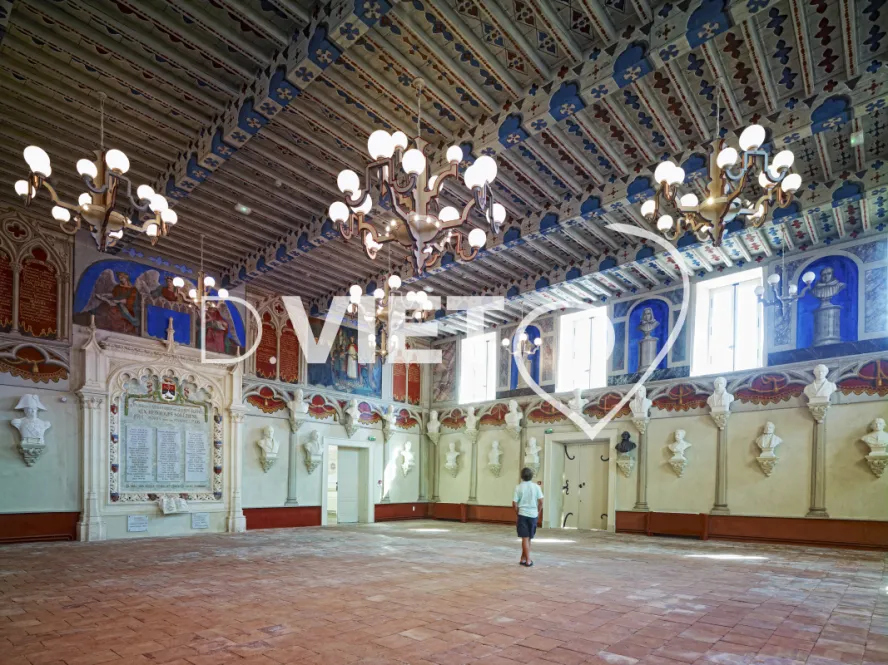 Photo TOULOUSE by VIET - Ecole Royale de soreze