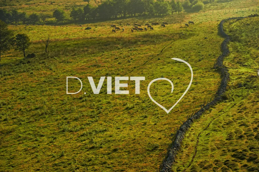 Photo TOULOUSE by VIET - estives