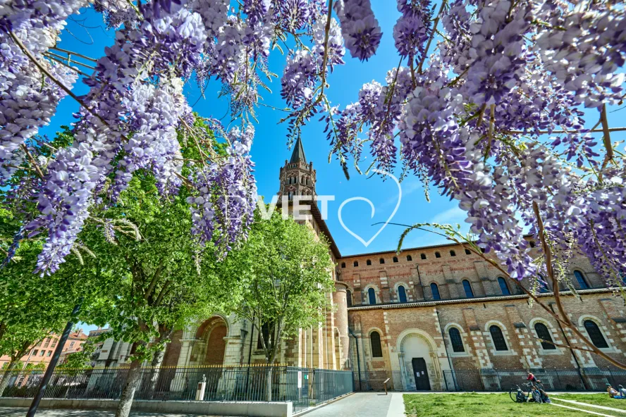 Photo TOULOUSE by VIET - Place de Saint-Sernin et ses glycines