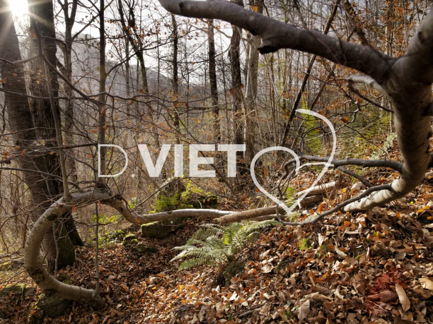 Photo TOULOUSE by VIET - Montsegur 09