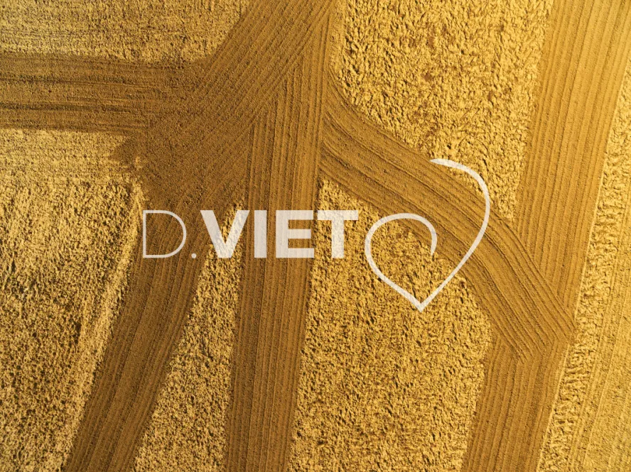 Photo TOULOUSE by VIET - TRACES