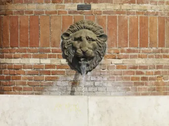 Photo TOULOUSE by VIET - La fontaine Garonne de la rue Boulbonne