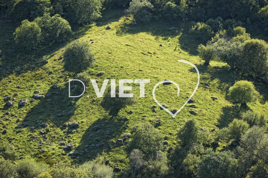 Photo TOULOUSE by VIET - Buron Aubrac