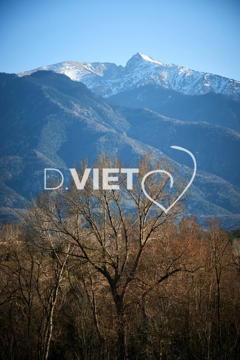 Photo TOULOUSE by VIET - CANIGOU