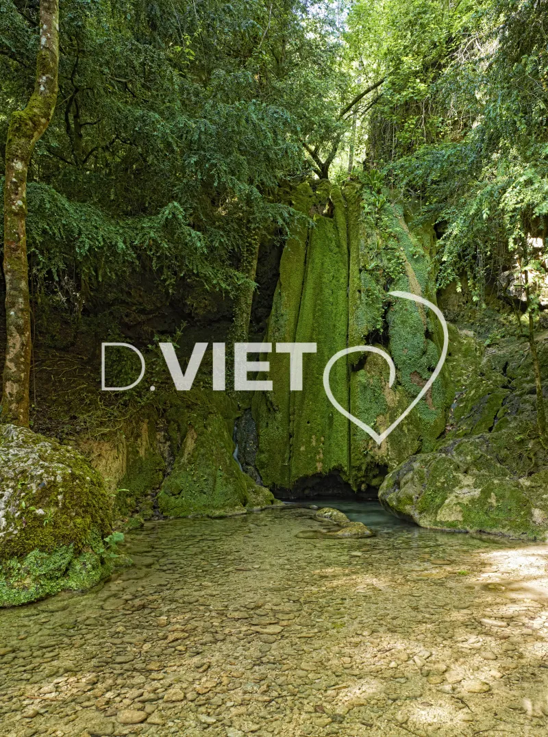 Photo TOULOUSE by VIET - cascasde et mousse