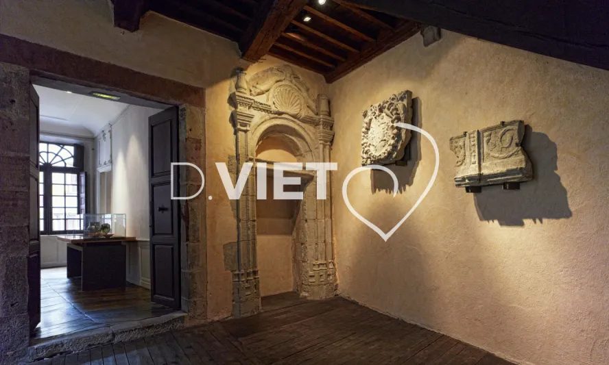 Photo TOULOUSE by VIET - Musee Fenaille