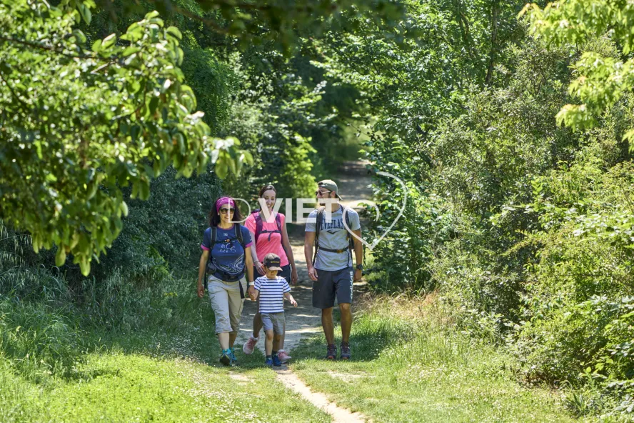 Photo TOULOUSE by VIET - SICOVAL