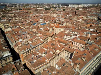 Photo TOULOUSE by VIET - toits de Toulouse