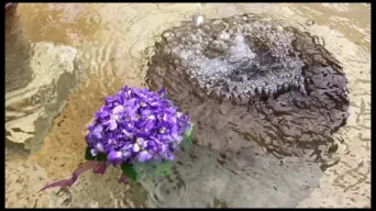 Vid&eacute;o TOULOUSE by VIET - Projet sans titre