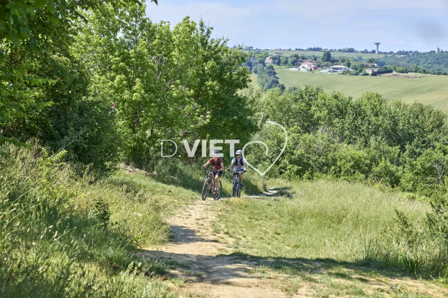 Photo TOULOUSE by VIET - SICOVAL