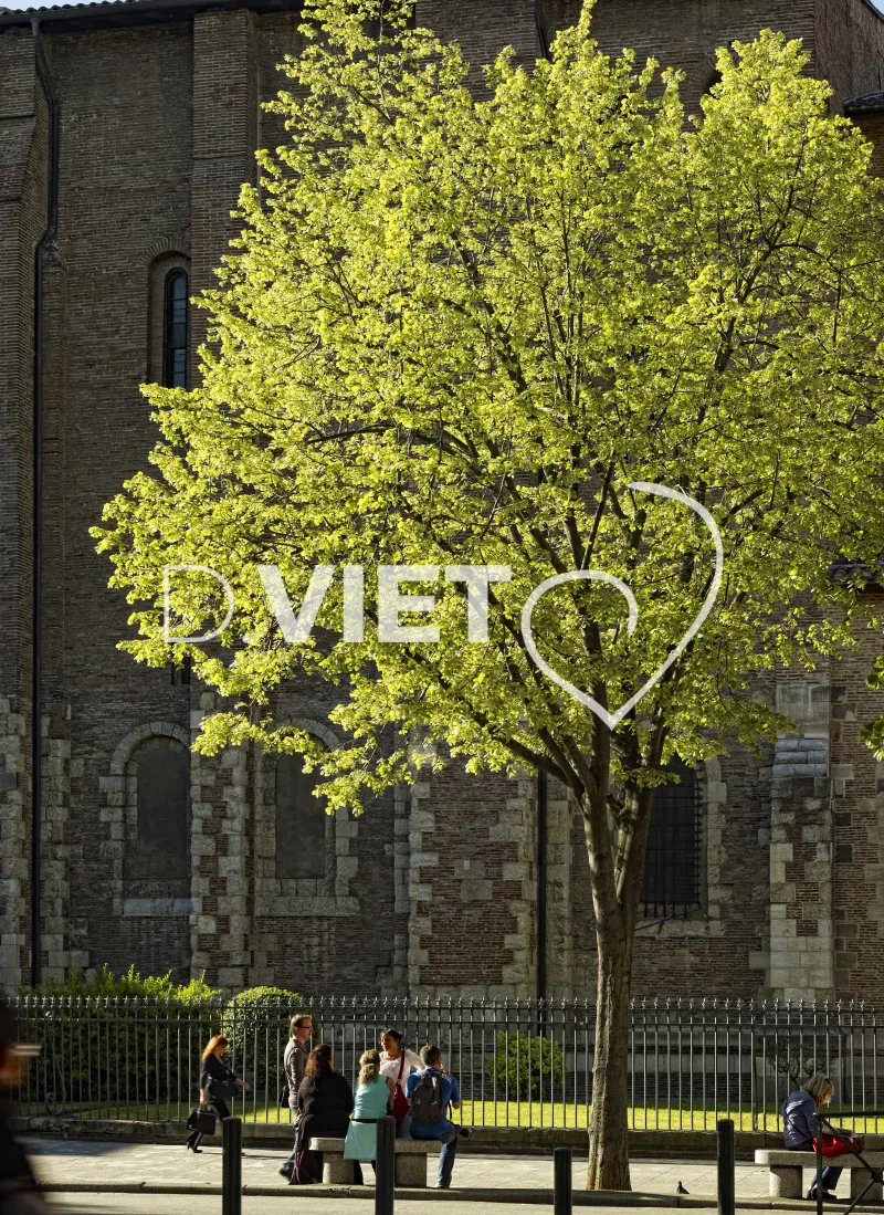 Photo TOULOUSE by VIET - Saint-Sernin