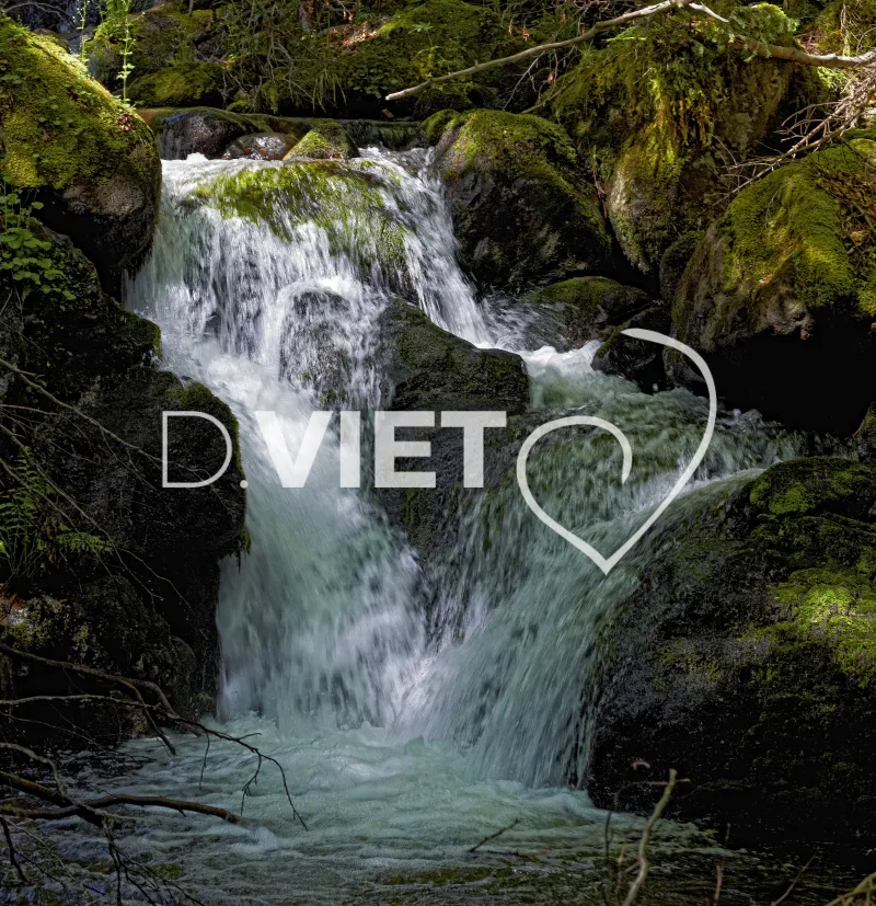 Photo TOULOUSE by VIET - cascade foret