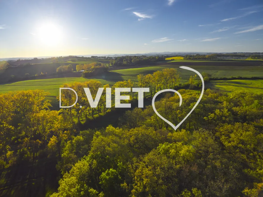 Photo TOULOUSE by VIET - lauragais