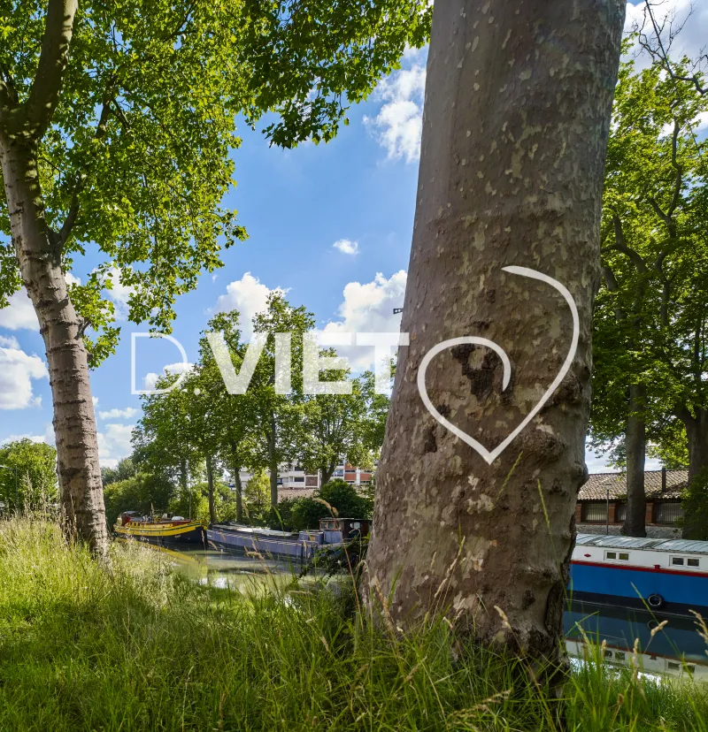 Photo TOULOUSE by VIET - Canal du midi