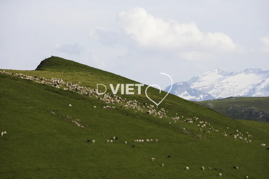 Photo TOULOUSE by VIET - PRES LUCHON