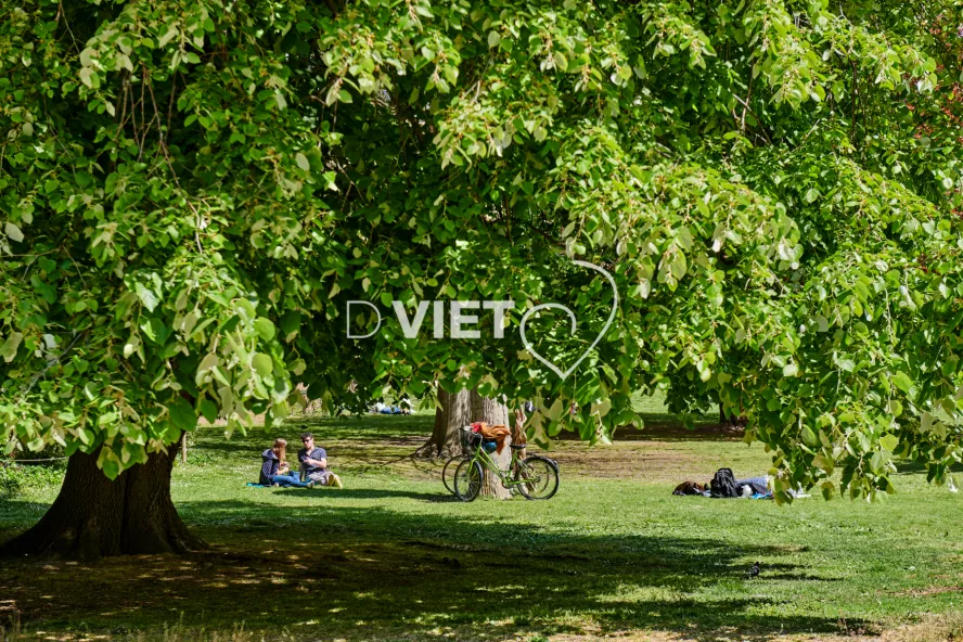 Photo TOULOUSE by VIET - Le printemps les verts fluo les arbres