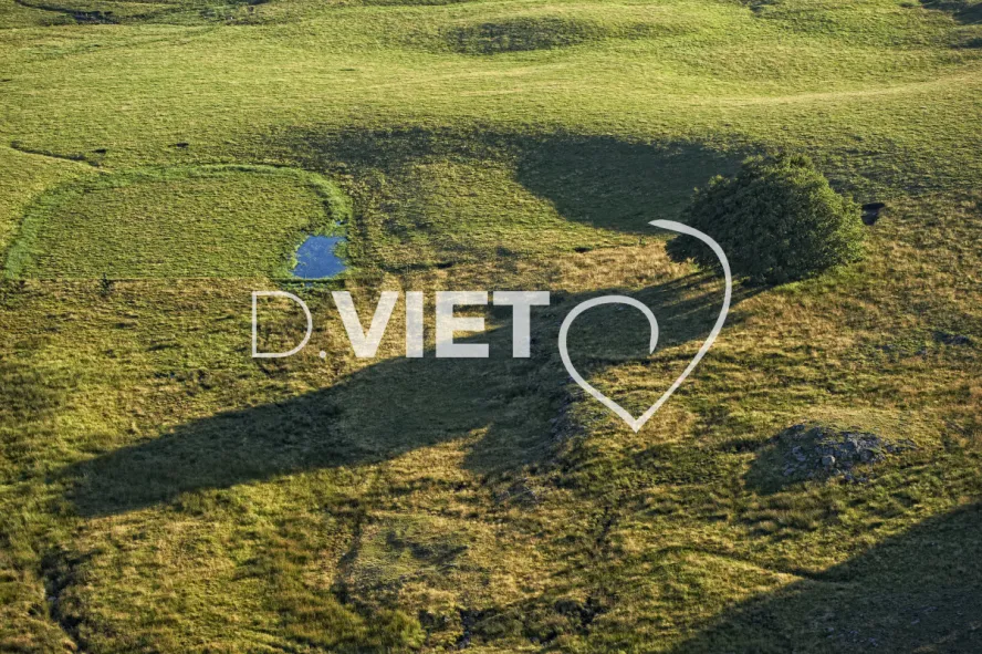 Photo TOULOUSE by VIET - Buron Aubrac