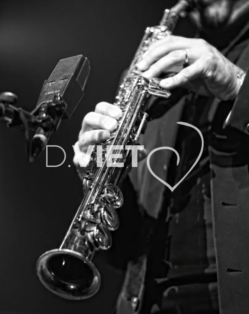 Photo TOULOUSE by VIET - Jazz in Marciac