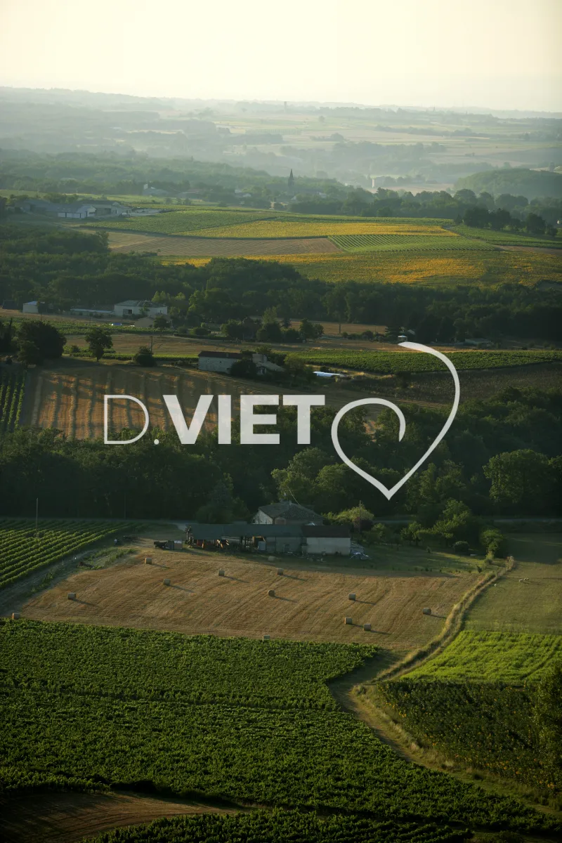 Photo TOULOUSE by VIET - 81 CAHUZAC SUR VERE N43°58559 E001°54369 ©VIET 361.com