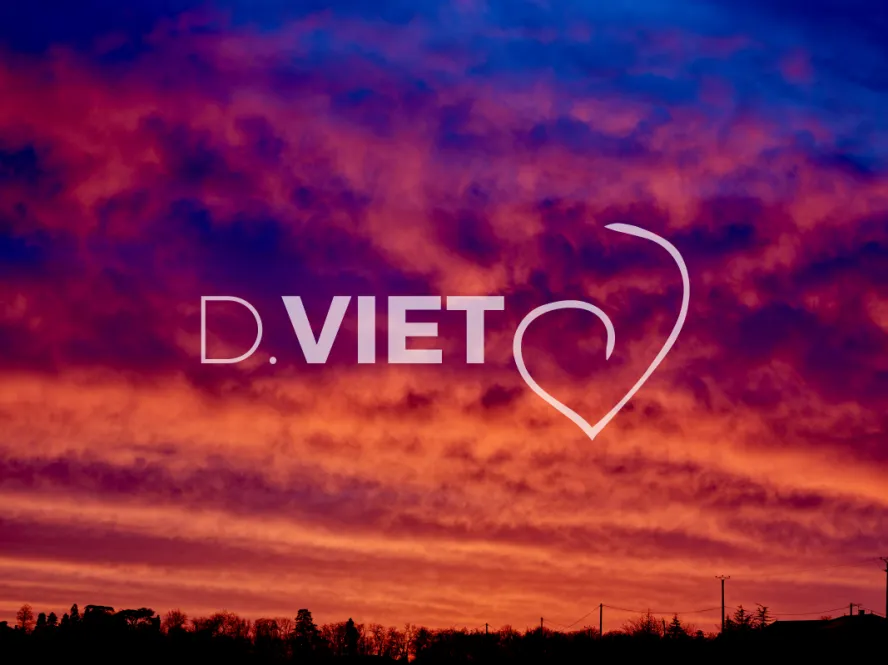 Photo TOULOUSE by VIET - VIET_008048