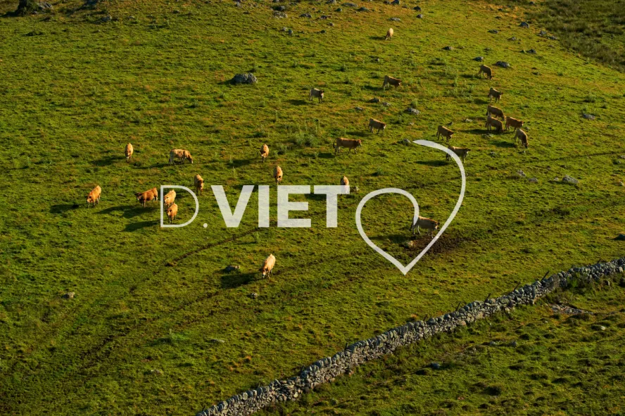 Photo TOULOUSE by VIET - estives