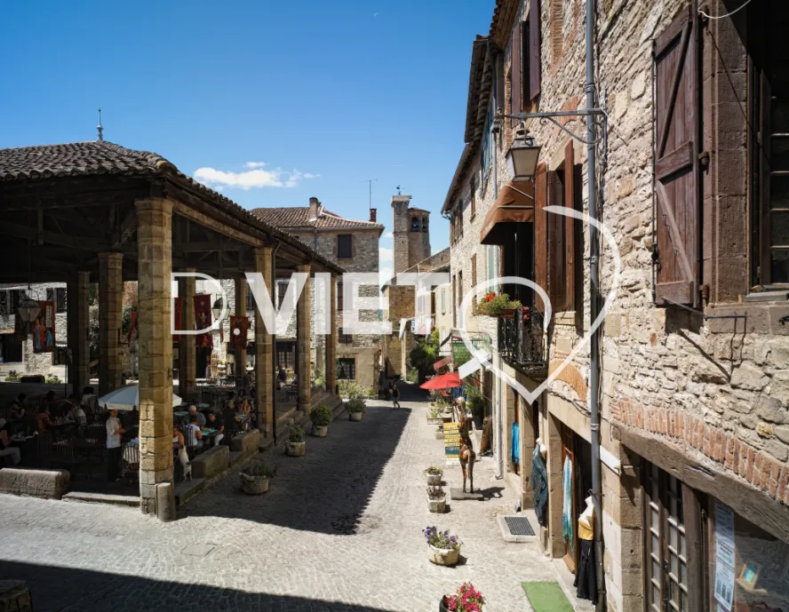 Photo TOULOUSE by VIET - VIET_003118