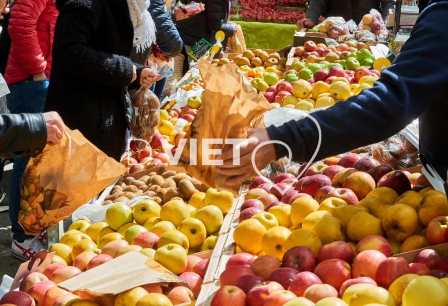 Photo TOULOUSE by VIET - VIET_008897