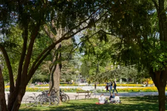 Photo TOULOUSE by VIET - Jardin du grand Rond