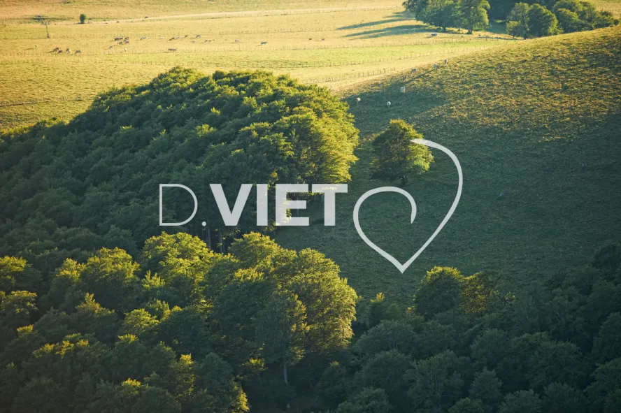 Photo TOULOUSE by VIET - VIET_005942