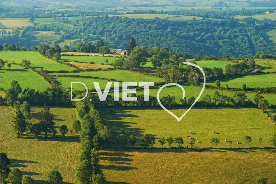 Photo TOULOUSE by VIET - VIET_005925