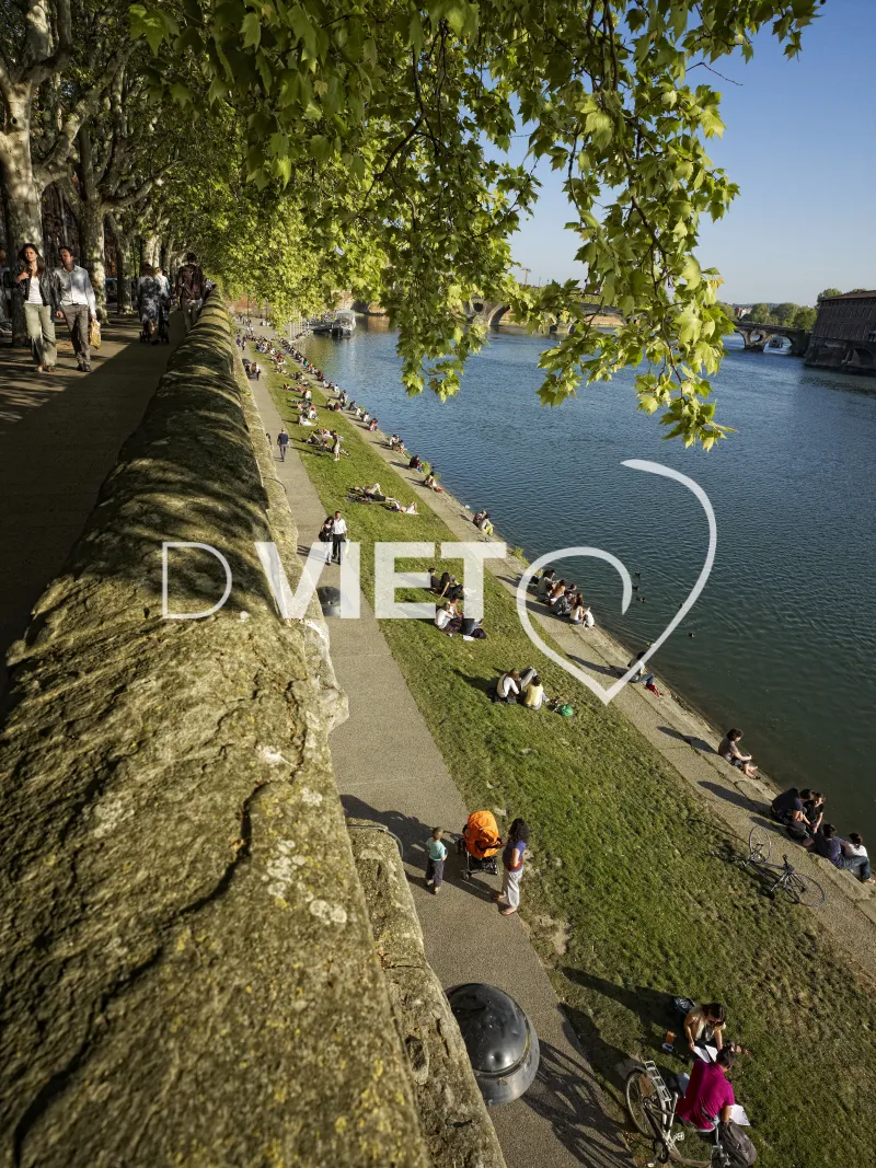 Photo TOULOUSE by VIET - Daurade